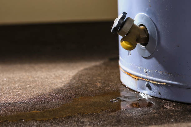 Best Professional water damage repair  in Cibecue, AZ