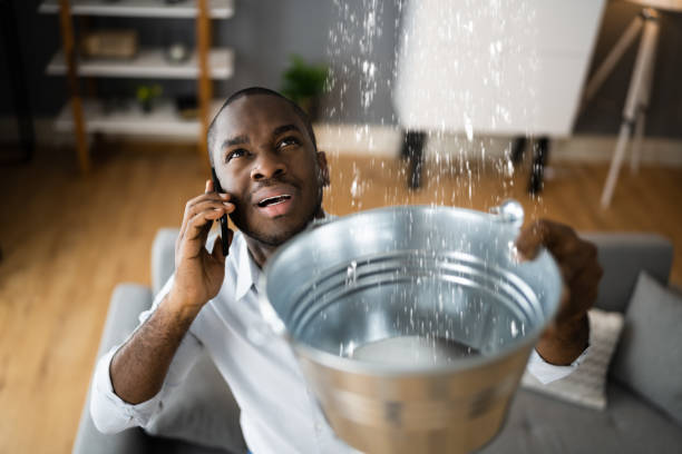 Reliable Cibecue, AZ Water damage restoration Solutions