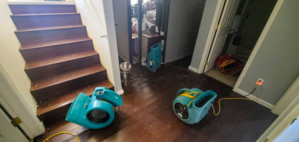 Best Fire Damage Restoration  in Cibecue, AZ