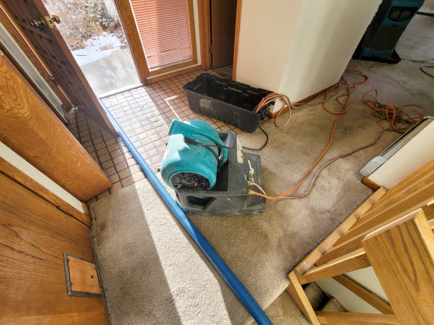 Best Water damage contractors near me  in Cibecue, AZ