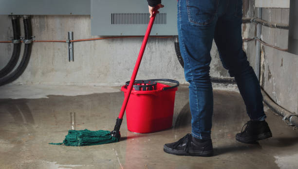 Best Water damage repair service  in Cibecue, AZ
