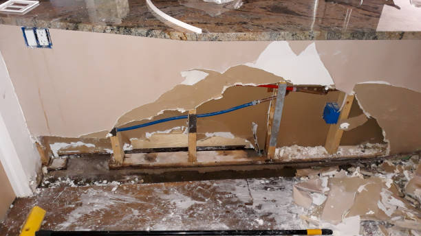 Carpet water damage restoration in Cibecue, AZ