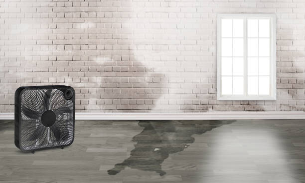 Best Residential water damage restoration  in Cibecue, AZ