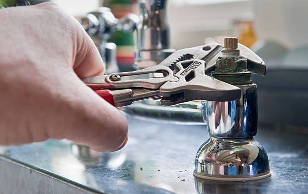 Best Flooded house restoration  in Cibecue, AZ