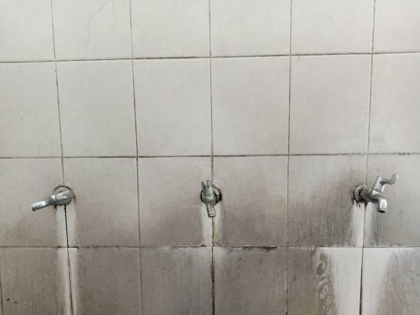 Best Water damage restoration experts  in Cibecue, AZ