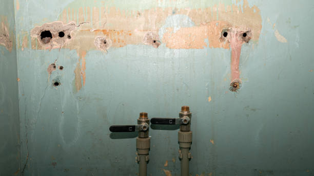  Cibecue, AZ Water damage restoration Pros