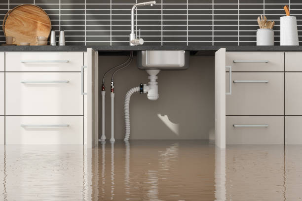 Water damage restoration insurance claims in Cibecue, AZ