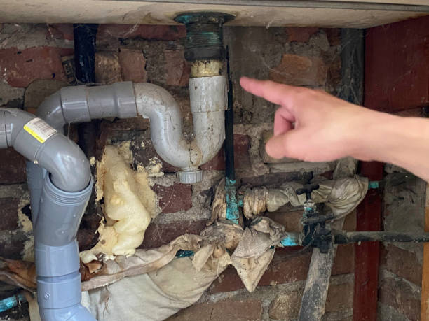 Best Emergency water damage restoration  in Cibecue, AZ