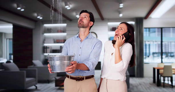 Best Basement water damage restoration  in Cibecue, AZ